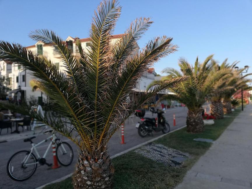 Danyja Apartament *