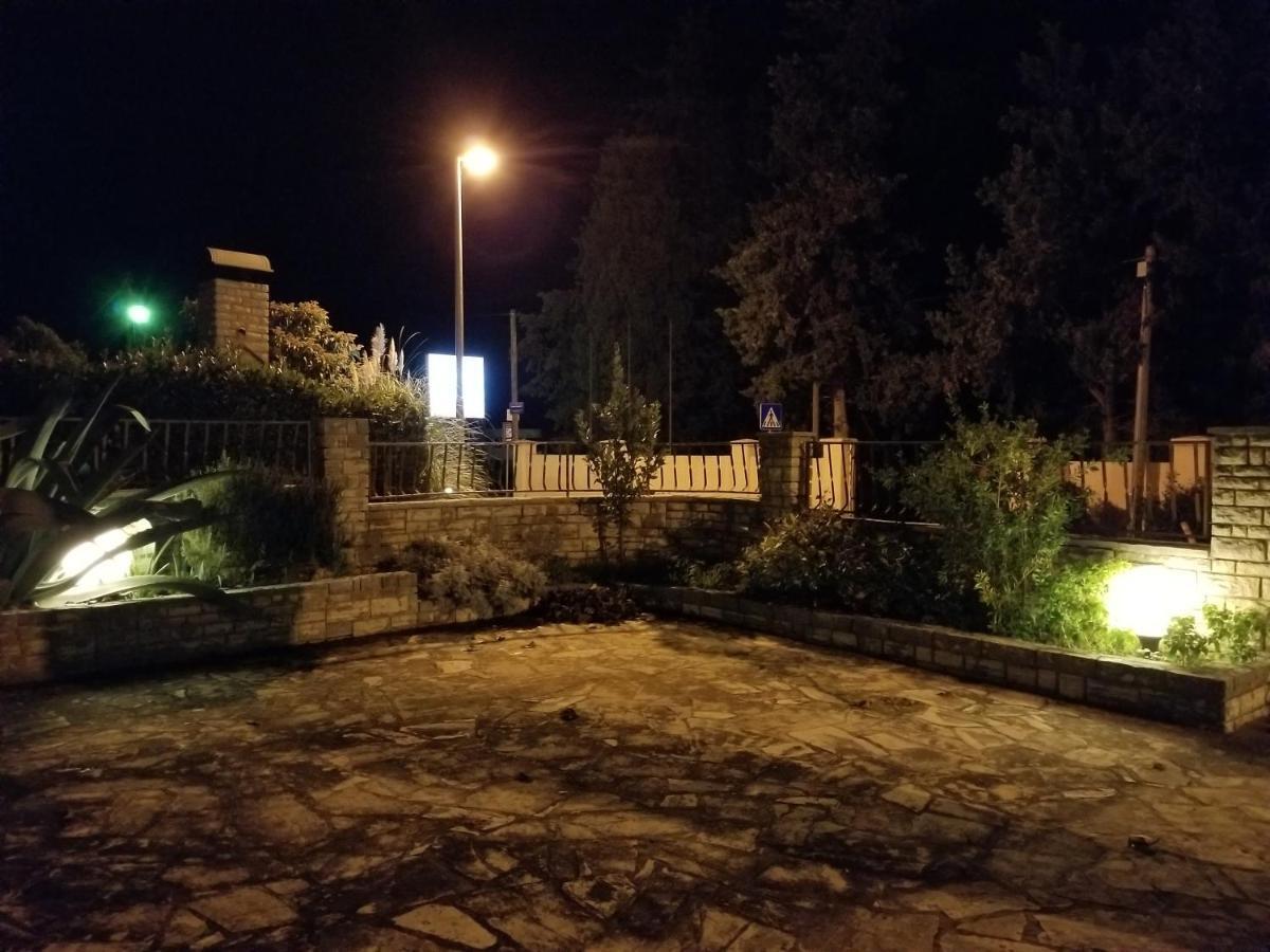 Danyja *